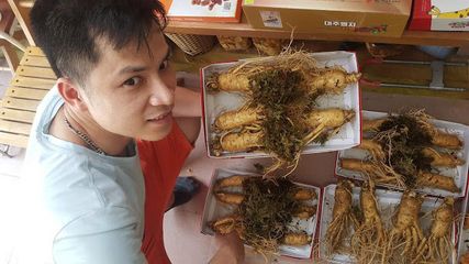 Sâm tươi Hàn Quốc 6 năm tuổi - 7 củ loại 1, 1kg - Thực phẩm chức năng tăng cường sức khỏe, hỗ trợ miễn dịch tự nhiên.