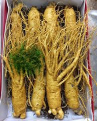Sâm Tươi Hàn Quốc 6 Năm Tuổi 8 Củ 1kg Loại 1 - Tăng Cường Sức Khỏe & Cải Thiện Tinh Thần - Thực Phẩm Chức Năng Chất Lượng Cao