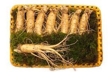 Sâm Tươi Hàn Quốc 6 Năm Tuổi 8 Củ 1kg Loại 1 - Tăng Cường Sức Khỏe & Cải Thiện Tinh Thần - Thực Phẩm Chức Năng Chất Lượng Cao