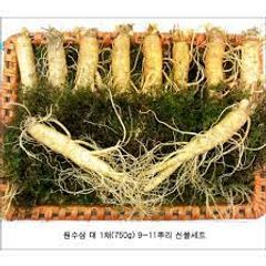 Sâm Tươi Hàn Quốc 6 Năm Tuổi - 10 Củ 1Kg Nhân Sâm Loại 1 Cao Cấp - Thực Phẩm Chức Năng Tăng Cường Sức Khỏe