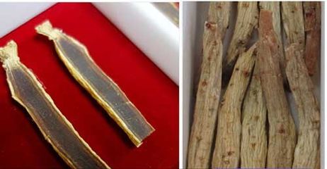 Thái cực sâm củ khô Daedong 300g - Hỗ trợ sức khỏe, tăng cường miễn dịch, chống mệt mỏi - 30 củ chất lượng cao từ Hàn Quốc