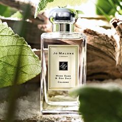 Nước hoa unisex Wood sage Sea salt tươi mới tinh tế full chiết