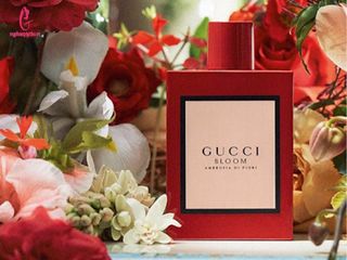 Nước hoa Gucci Bloom Ambrosia di Fiori Sang Trọng Nữ Tính - Hương Hoa Huệ và Hoa Hồng Đan Mạch - 100ml Chiết Full
