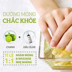 Dầu Oliu Extra Virgin nguyên chất Milaganics 250ml