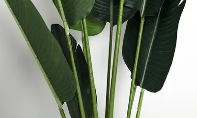 Cây giả trang trí trong nhà, cây chuối 120cm