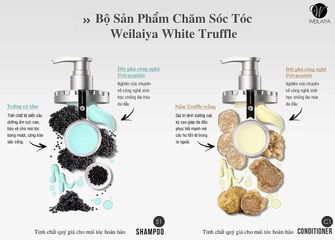 Bộ dầu gội phục hồi đa tầng nấm truffle weilaiya 450ml