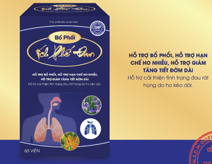 Bổ Phổi Ích Phế Đan Hỗ Trợ Giảm Ho, Cải Thiện Viêm Họng