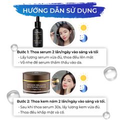 Bộ Kem Hỗ Trợ Ngừa Nám Tàn Nhang Dưỡng Trắng Mờ Thâm của Oriskin