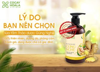 Sữa Tắm  Gừng Nghệ Cocayhoala 300g Giúp Giữ Ấm Cơ Thể Và Tránh Gió
