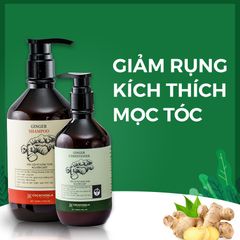 Dầu Xả Gừng Tươi Dưỡng Tóc Mềm Mượt Cocayhoala 300ml