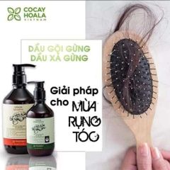 Dầu Xả Gừng Tươi Dưỡng Tóc Mềm Mượt Cocayhoala 300ml