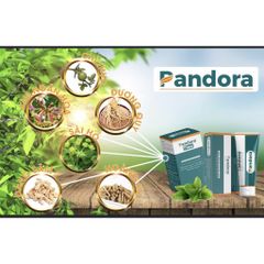 Kem bôi và Viên uống teo trĩ Pandora chính hãng, giá rẻ