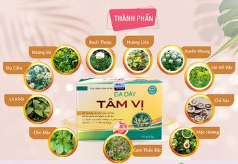 Viên uống Dạ Dày Tâm Vị hỗ trợ cải thiện hệ tiêu hóa