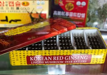 Viên đạm tổng hợp Hàn Quốc Hồng Sâm, Nhung Hươu, Nấm Linh Chi 120 viên - Tăng cường sức khỏe và miễn dịch cho mọi đối tượng