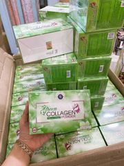 Diệp lục Collagen Powder hỗ trợ đẹp da cân bằng nội tiết tố