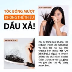 Dầu Xả Tóc 7 Loại Thảo Mộc Dưỡng Đen Tóc, Ngừa Rụng Milaganics 250ml