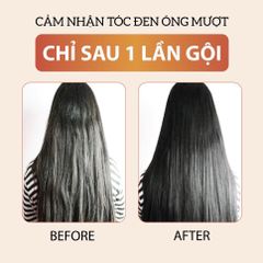 Combo 2 Dầu Gội, Dầu Xả Thảo Mộc Đen Tóc Milaganics (250ml x 2 chai)
