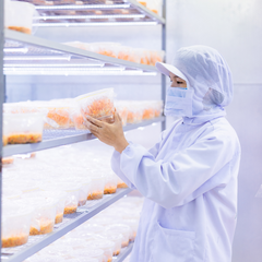 Đông Trùng Hạ Thảo Tươi hộp 150gr Giúp Tăng Cường Sức Khỏe