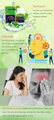 Viên Uống Hỗ Trợ Tăng Tuần Hoàn Não Vitatree Ginkgo Plus 40 Viên