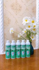 Nước Súc Miệng  Rona Cocayhoala Sạch Răng Thơm Miệng