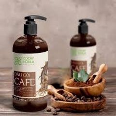 Dầu Gội Cà Phê Sạch Gàu Giảm Ngứa Phục Hồi Tóc Hư Tổn Cocayhoala 300g 61272