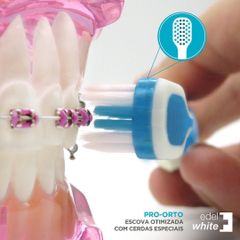 Bàn chải cho người niềng răng Pro Ortho Thụy sĩ chuyên dụng