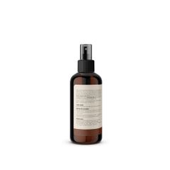 Xịt khử mùi và khử khuẩn ô tô Ecocare 50ml thiên nhiên