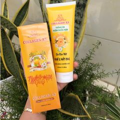 Sữa Rửa Mặt Collagen X3 tinh chất Nghệ Mật Ong Đông Anh tuýp 100Ml