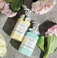 Bộ Dầu Gội Xả Phục Hồi Đa Tầng Nấm Truffle Weilaiya 450ml - Dưỡng tóc bóng mượt, sạch gàu, hương nước hoa sang trọng chuẩn salon