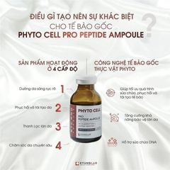 Tế Bào Gốc KyungLab Phyto Cell Pro Peptide Ampoule 20ml - Serum Tái Tạo Da, Ngăn Ngừa Lão Hóa, Dưỡng Ẩm Chuyên Sâu, Hàng Chính Hãng Hàn Quốc