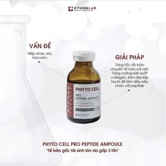 Tế Bào Gốc KyungLab Phyto Cell Pro Peptide Ampoule 20ml - Serum Tái Tạo Da, Ngăn Ngừa Lão Hóa, Dưỡng Ẩm Chuyên Sâu, Hàng Chính Hãng Hàn Quốc