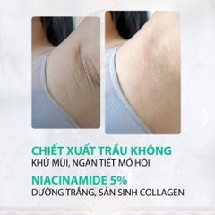 Lăn Nách Niacinamide 5% và Lá Trầu Không WingUps Bodymiss 10ml
