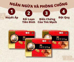 Viên uống An Cung Sejong Hàn Quốc - Hộp 10 viên cao cấp hỗ trợ sức khỏe tim mạch và huyết áp, sản phẩm chăm sóc sức khỏe tự nhiên