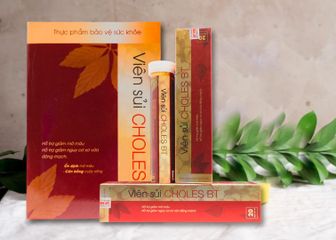 Choles BT  Viên Sủi Giúp Kiểm Soát Mỡ Máu Hiệu Quả