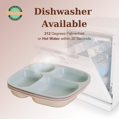 Khay Ăn Kiêng Cao Cấp 4 Ngăn Nestique N-31 - Thiết Kế Thân Thiện Môi Trường, An Toàn Cho Sức Khỏe, BPA-Free, Đa Năng