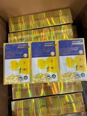 Tinh Dầu Hoa Anh Thảo Úc Vitatree 100 Viên - Hỗ Trợ Giảm Đau Kinh Nguyệt, Cân Bằng Hormone Nữ, Sức Khỏe Tổng Quát