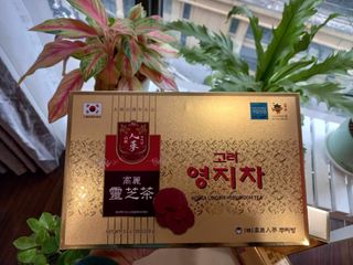 Trà Nấm Linh Chi Buleebang Hàn Quốc - Lingshi Mushroom Tea 100 Gói - Hỗ Trợ Sức Khỏe, Giảm Mỡ, Thanh Lọc Cơ Thể