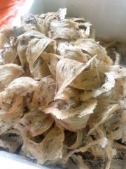 Yến Thô Nguyên Tổ Gia Lộc Khánh Hòa 100g - Tổ Yến Dinh Dưỡng Tự Nhiên, Giúp Tăng Cường Sức Khỏe và Làm Đẹp Da