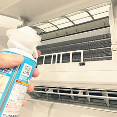 Bình Xịt Vệ Sinh Máy Điều Hòa Next Plus Nhật Bản 420ml - Giải Pháp Tiện Lợi Tăng Tuổi Thọ Máy và Đảm Bảo Không Khí Sạch Sẽ Garden