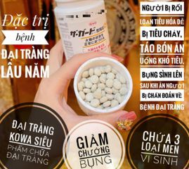 Viên uống hỗ trợ đại tràng Kowa The Guard (550 viên)