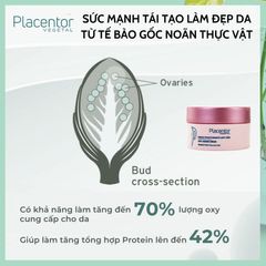 Kem Hỗ Trợ Trẻ Hóa Placentor Anti-Ageing Cream 50ML - Dưỡng Ẩm Cho Da Khô, Nhạy Cảm, Giúp Da Sáng và Chống Lão Hóa