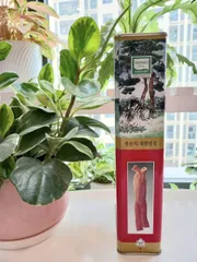 Sâm Khô Nguyên Củ Hộp Thiếc Hàn Quốc - Hồng Sâm 6 Năm Tuổi 300g, Giúp Bồi Bổ Sức Khỏe và Cải Thiện Giấc Ngủ