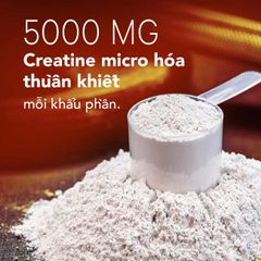 Bột hỗ trợ tăng cơ Codeage Liposomal Creatine Mononhydrate
