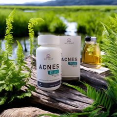 Viên uống giảm mụn nhập khẩu Mỹ Acnes Plus