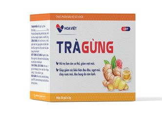 Trà Gừng Hoa Việt - Giảm Đầy Hơi, Tăng Cường Miễn Dịch, Hộp 20 Gói - Thảo Dược Tự Nhiên Giúp Tiêu Hóa và Làm Ấm Cơ Thể