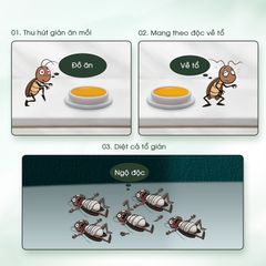 Viên diệt gián sinh học AMB hộp 8 viên - Đuổi diệt mọi loại gián nhanh chóng, an toàn cho gia đình và vật nuôi