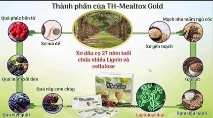 TH Mealtox Gold - Thực Phẩm Bảo Vệ Sức Khỏe Giảm Cân, Detox, Hỗ Trợ Tiêu Hóa, Bổ Sung Chất Xơ - Hộp 30 Gói