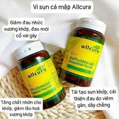 Viên uống hỗ trợ xương khớp Allcura Haifischknorpel 90 viên - Giúp giảm đau và viêm, tăng cường sức khỏe khớp, sản phẩm từ Đức