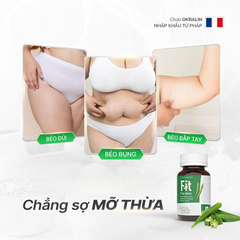 FIT Thái Minh - Hỗ trợ giảm béo và tích tụ mỡ thừa - Lọ 120 viên