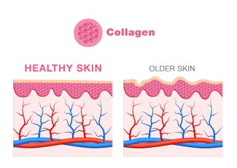 Bột Uống Bổ Sung Collagen Trunature Verisol Collagen Powder 300g